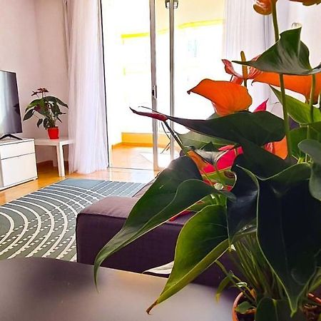 Apartamento Radazul Sea View Eksteriør bilde